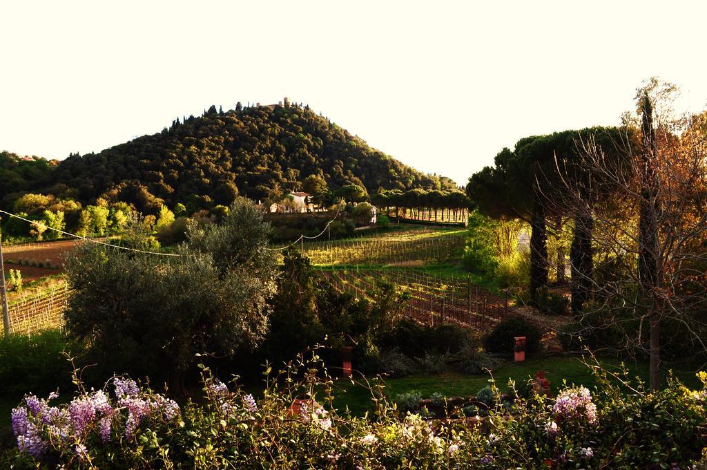 Podere L'olmaia * Marsiliana