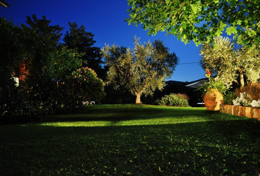 Podere L'olmaia *