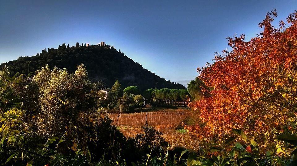 Podere L'olmaia